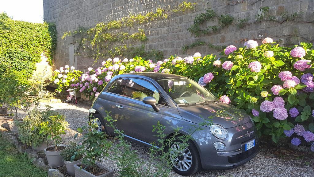 B&B A Piazza Del Gesu Viterbo Exteriör bild
